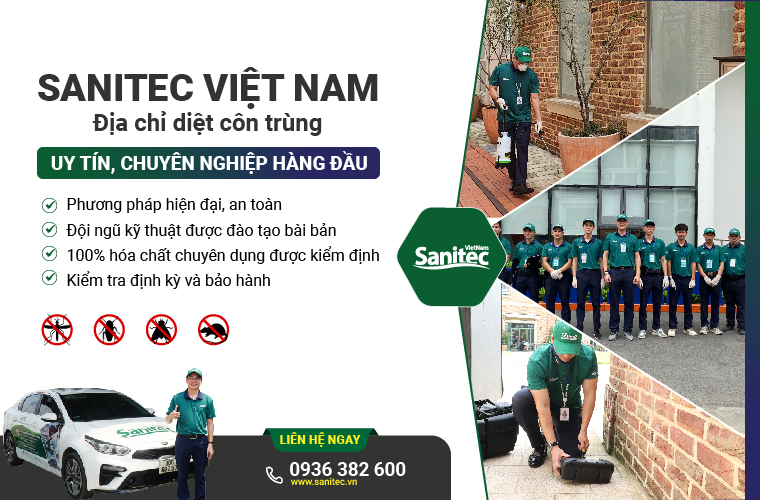 dịch vụ kiểm soát pest control