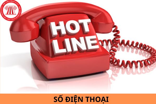 111, 113, 114, 115 là số điện thoại gì?