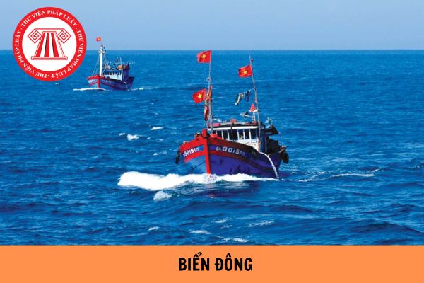 Biển đông tiếp giáp với bao nhiêu quốc gia? Vùng biển Việt Nam bao gồm những vùng nào?