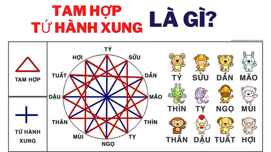 Tứ hành xung tuổi Thìn – Tuất – Sửu – Mùi