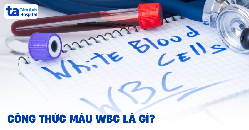 Công thức máu WBC là gì